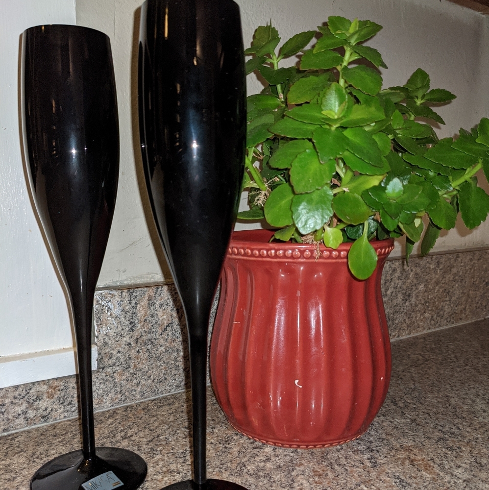 🆕 NWT Mikasa Elite Black Flutes (2) - Picture 4 of 7